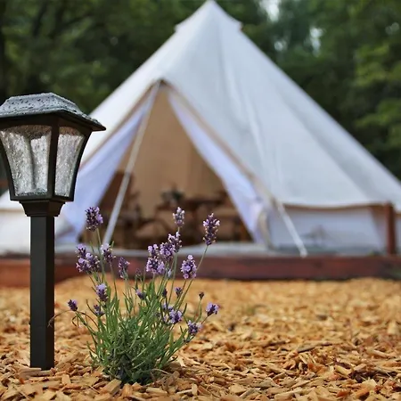 U Hrabete Kinskeho S Nadechem Safari Luxussátor Kněžičky